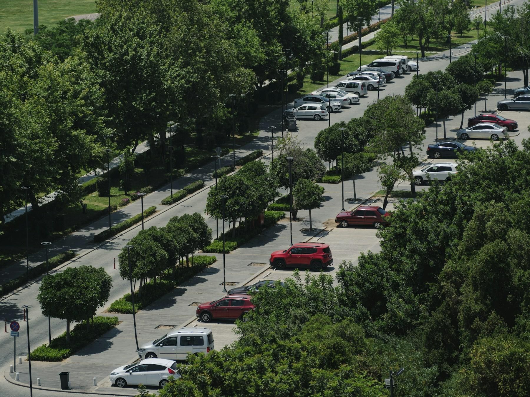 Automobiliai medžiais apsodintoje stovėjimo aikštelėje.